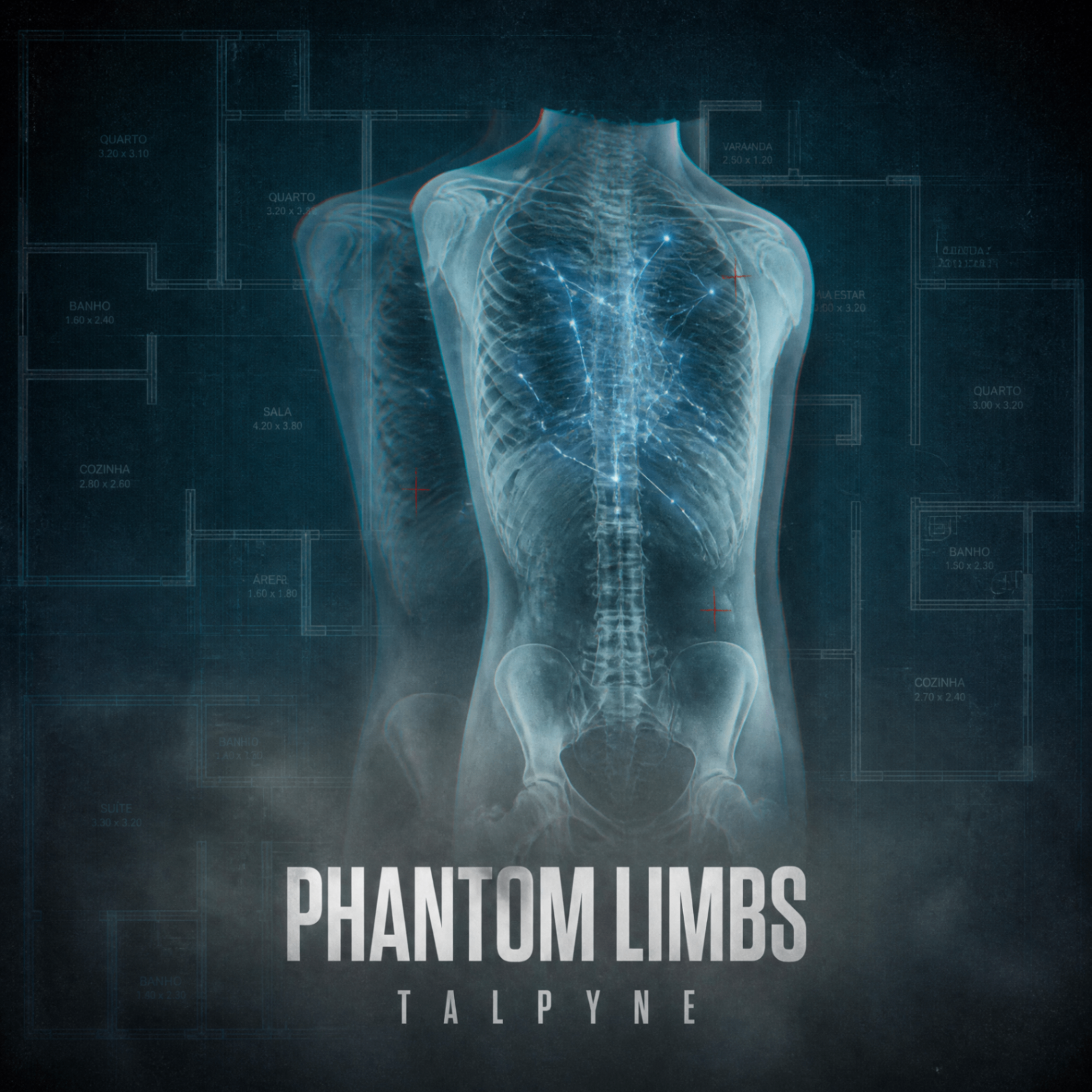 Capa de Phantom Limbs
